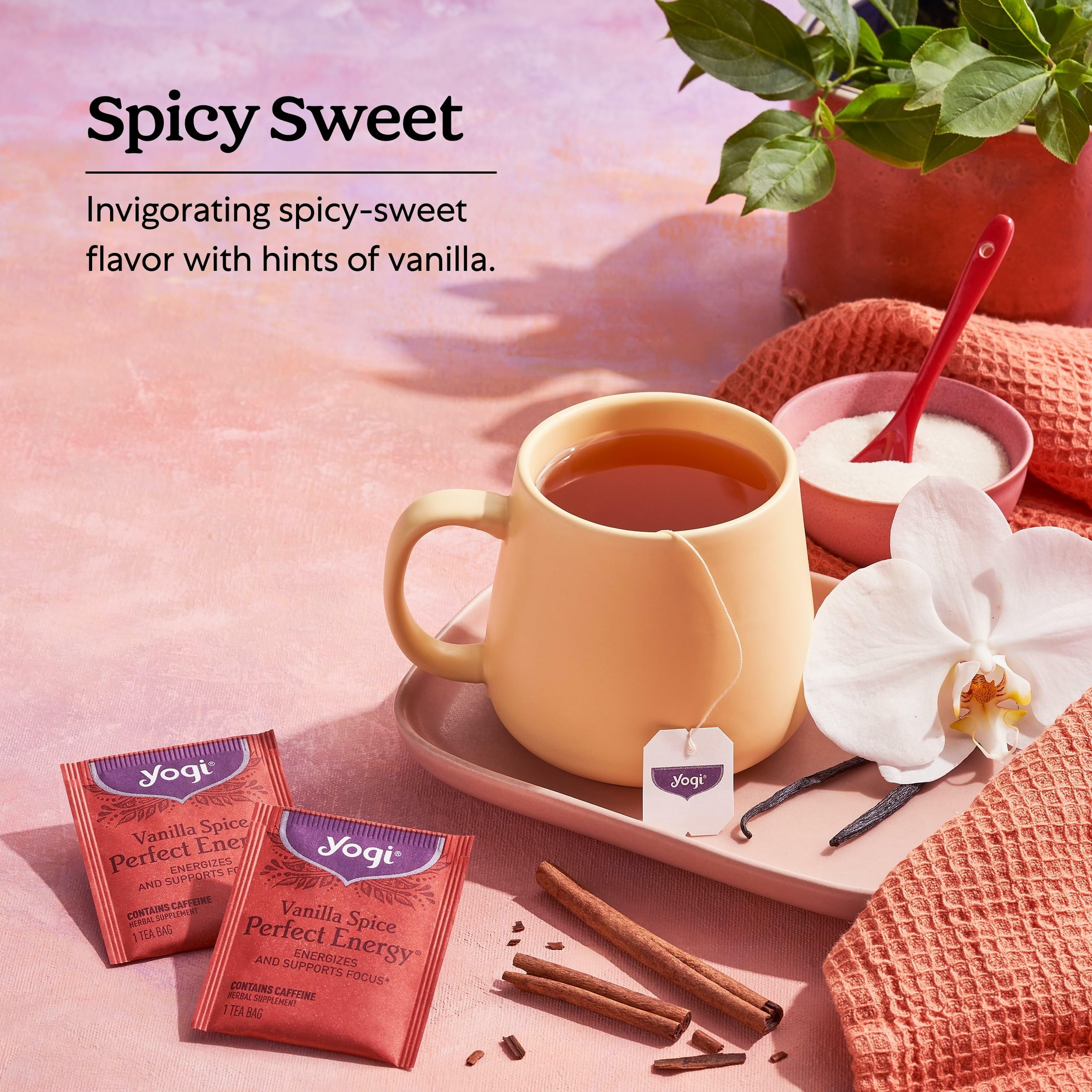 Yogi Vanilla Spice vanilla bean and spices in a comforting brew