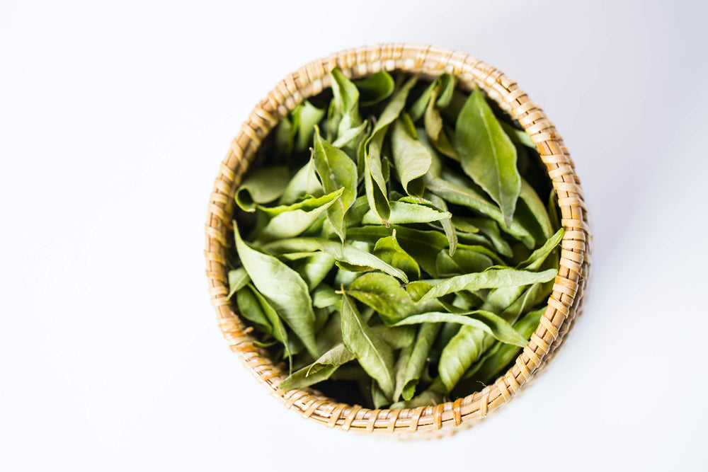YOGI'S GIFT dried curry leaves pack-shot with labeled jar for convenient use.