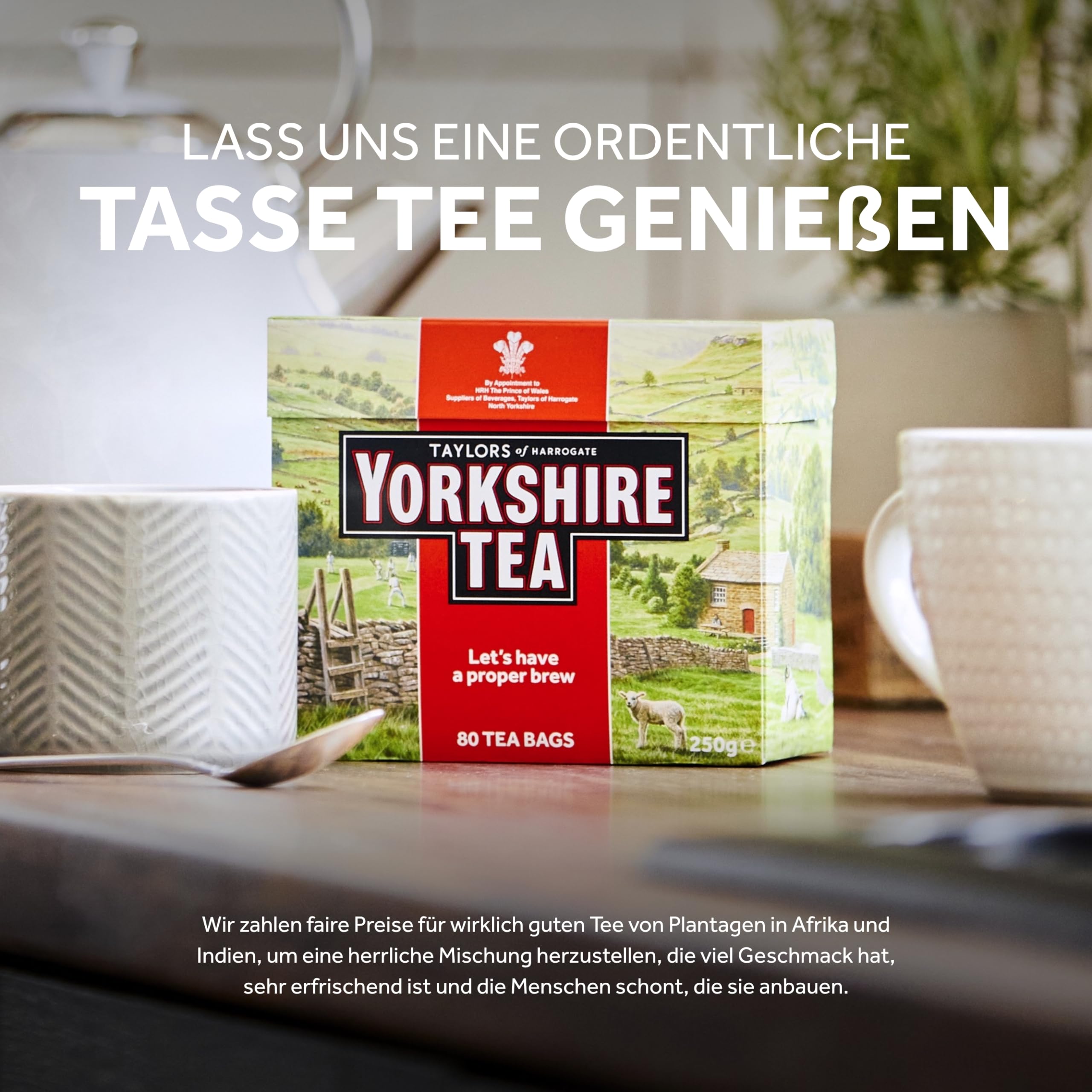 Yorkshire Tea steaming cup invites a relaxing pause.