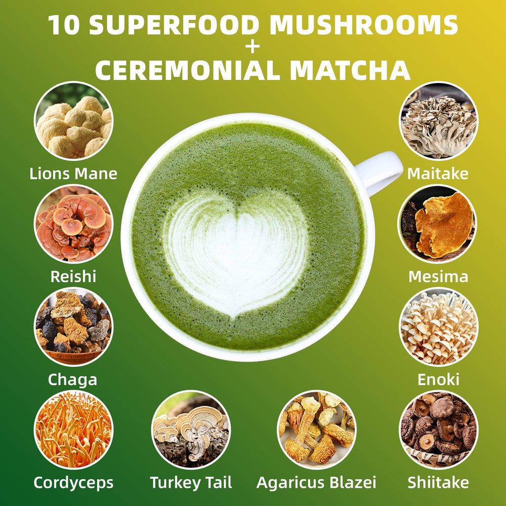 YoYoJo Mushroom Matcha brewed cup suggesting steady energy