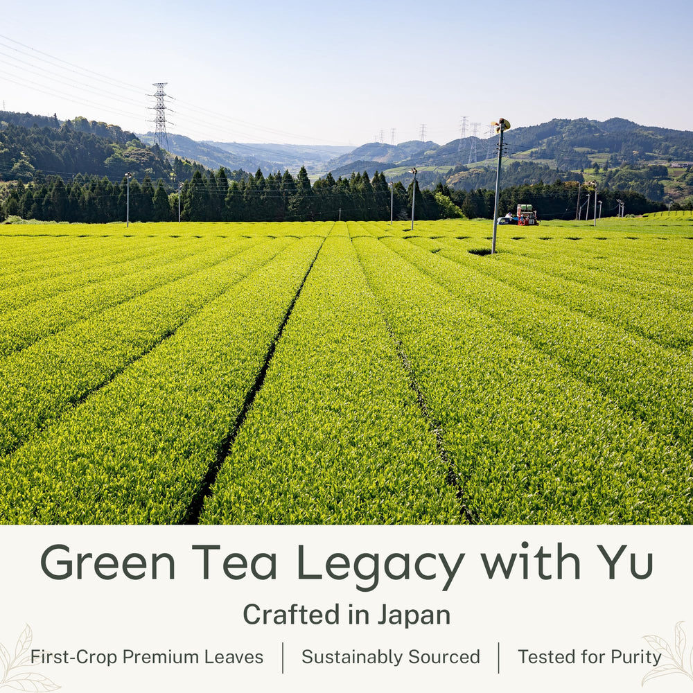 Yu Tea decaf sencha powder cold brew in a glass with clarity.