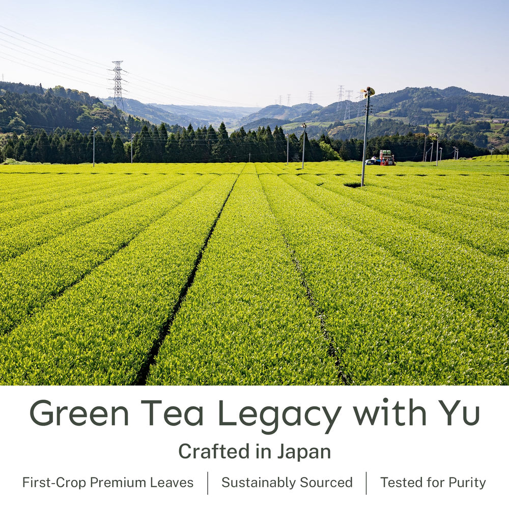Hot cup of Yu Tea sencha tea with gentle aroma.