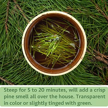 YUNHAHA Pine needle tea steaming beside lemon slice highlighting flavor pairings