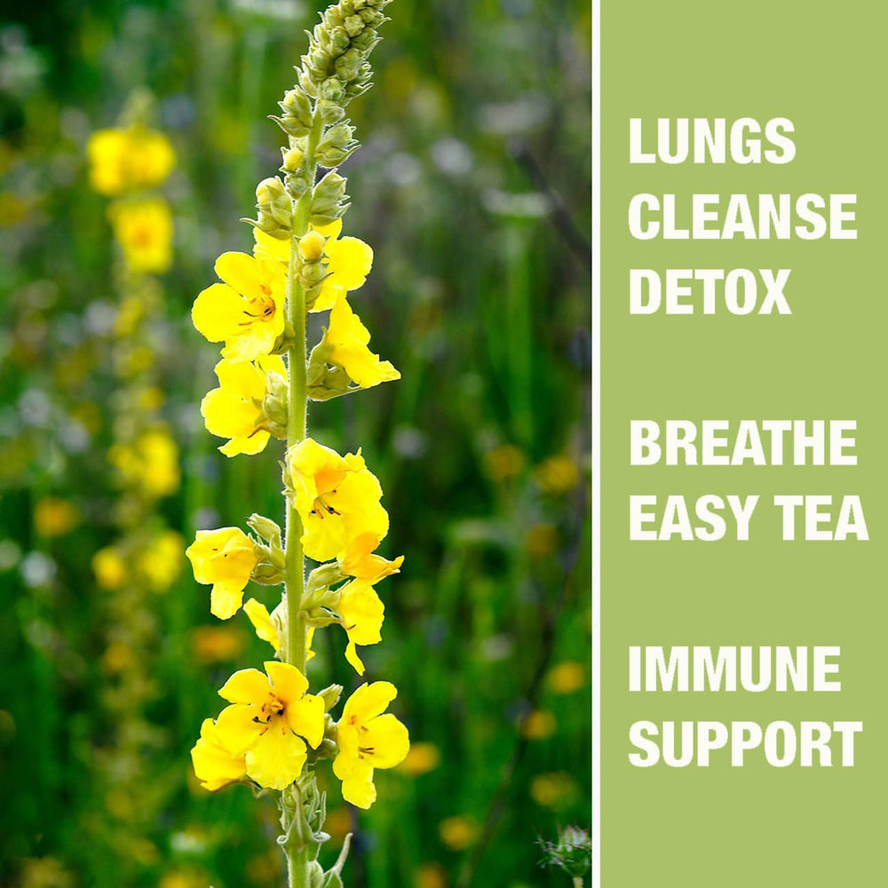 YUNHAHA mullein tea with lemon and honey for flavor and mood lift