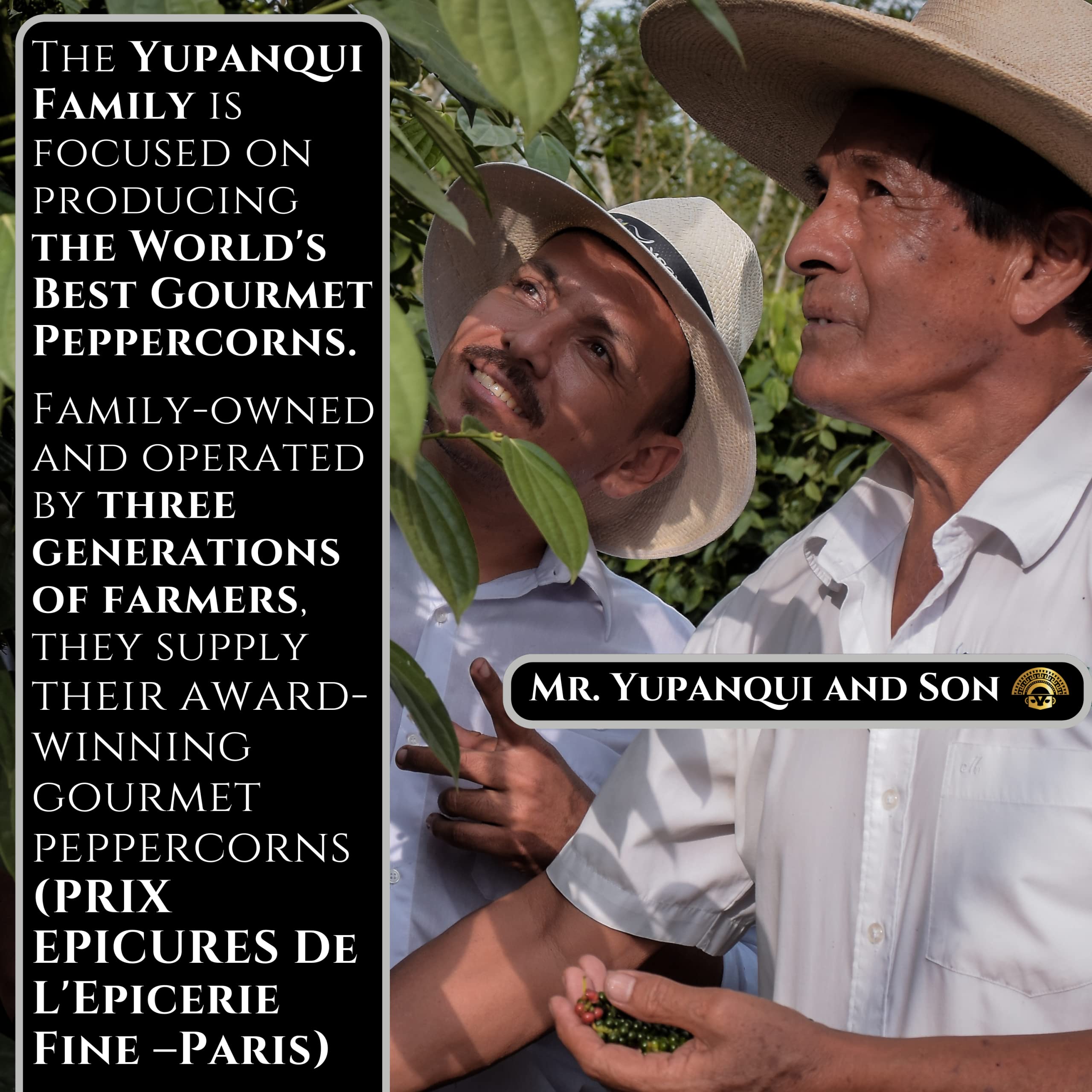 Yupanqui peppercorns for grinder refill bag, easy pour and lasting freshness.