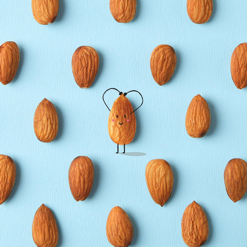 Yupik almonds deliver a smooth crunch with chocolate snap.