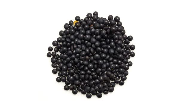 Yupik Organic Beluga lentils cooking pot illustrating easy simmering