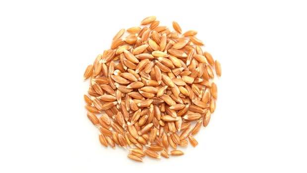 Yupik Organic Farro grain close-up showing nutty texture for hearty dishes.
