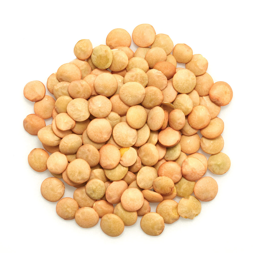 Yupik organic green lentils closeup beans, high fiber and protein