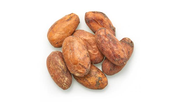 Close-up of Yupik cacao beans showing rich texture, ideal for nibs and snacks.