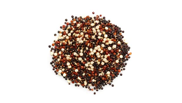 Cooked Yupik Tri-Color Quinoa in a fluffy bowl with nutty aroma