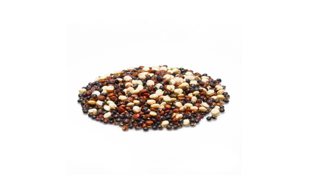 Colorful Yupik Tri-Color Quinoa salad bowl with protein and texture