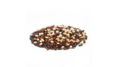 Colorful Yupik Tri-Color Quinoa salad bowl with protein and texture