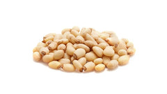 Yupik Pine Nuts creamy texture perfect for pesto and baking.