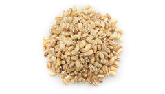 Yupik Pot Barley cooked porridge in a bowl shows nutty flavor and chewy texture.