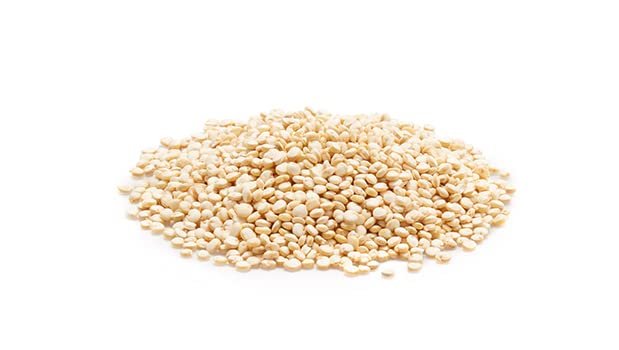 Yupik white quinoa dry grains close-up, large seeds visible