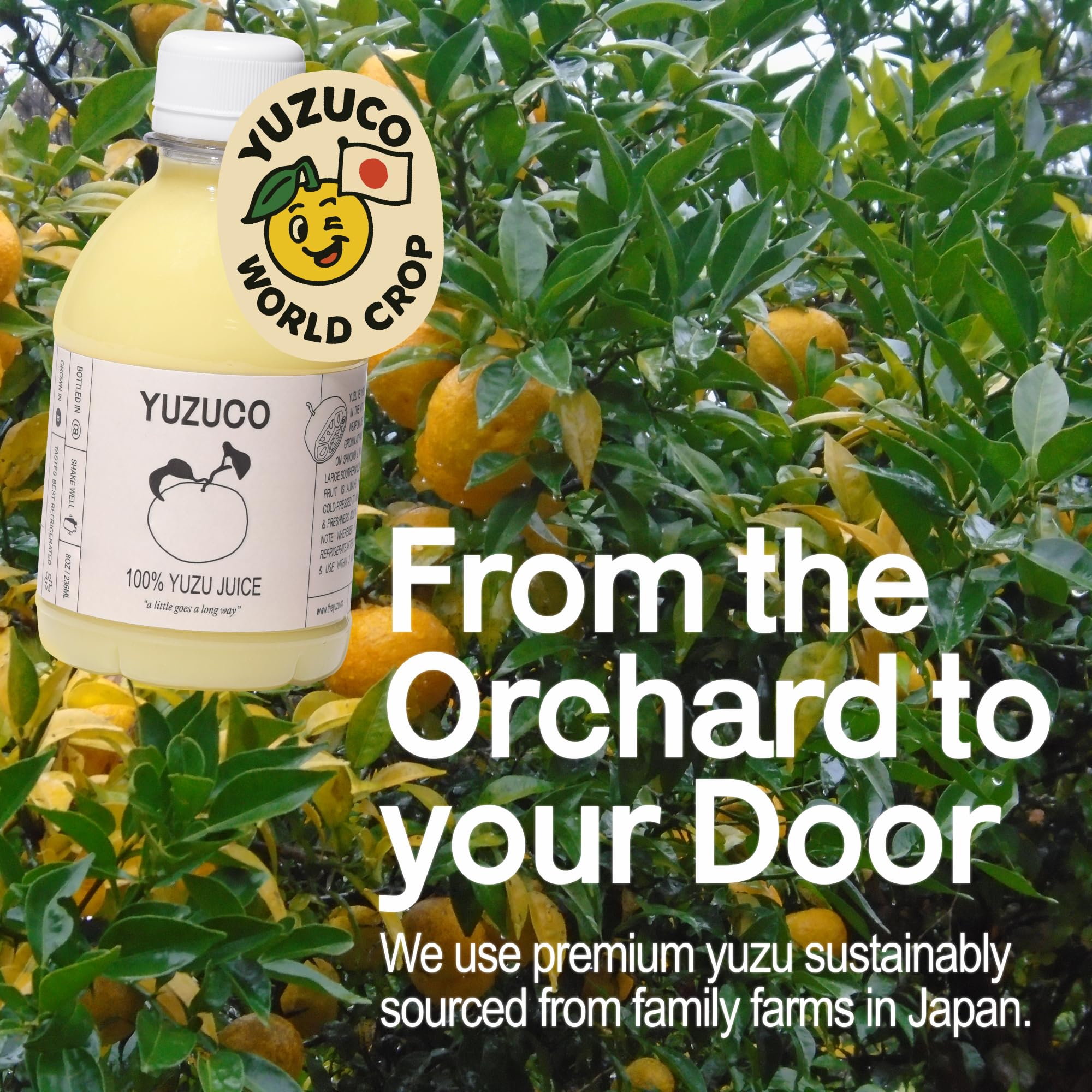 YUZUCO farmers-sourcing story card representing transparent, premium Japanese citrus.
