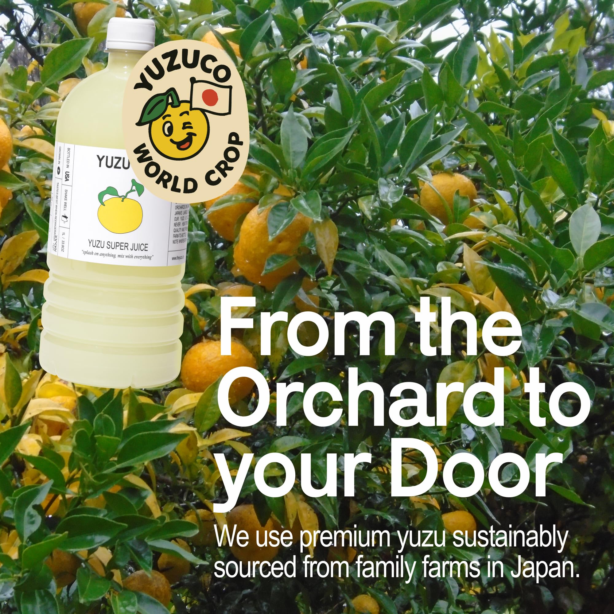 Sleek YUZUCO packaging emphasizes sustainability and premium quality
