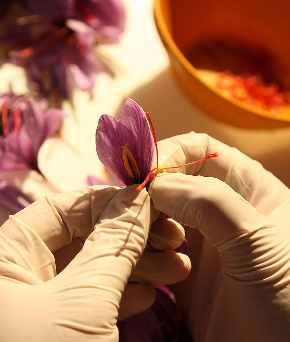 Zaffrus saffron packaging proudly produced in Lehigh Valley PA.