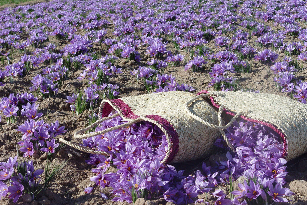 Zaffrus saffron threads for desserts and drinks with authentic flavor notes.