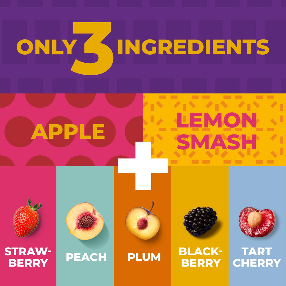 ZEST Delites plum fruit strip, wholesome flavor for lunchboxes.