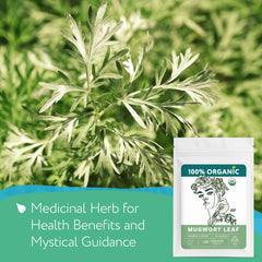 Zhivana Organics dried mugwort leaves highlight premium herbal aroma.