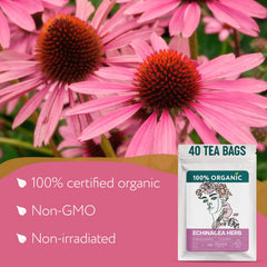 Zhivana Organics Echinacea Tea bags steeping in a warm cup for comfort.