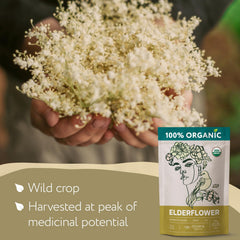 Zhivana Organics Elderflower Tea drying process preserves aroma and flavor