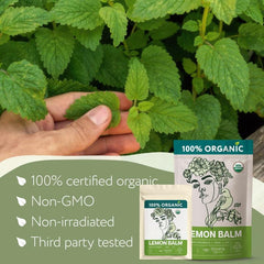 Zhivana Organics hand-picked lemon balm, highlighting careful sourcing for quality.