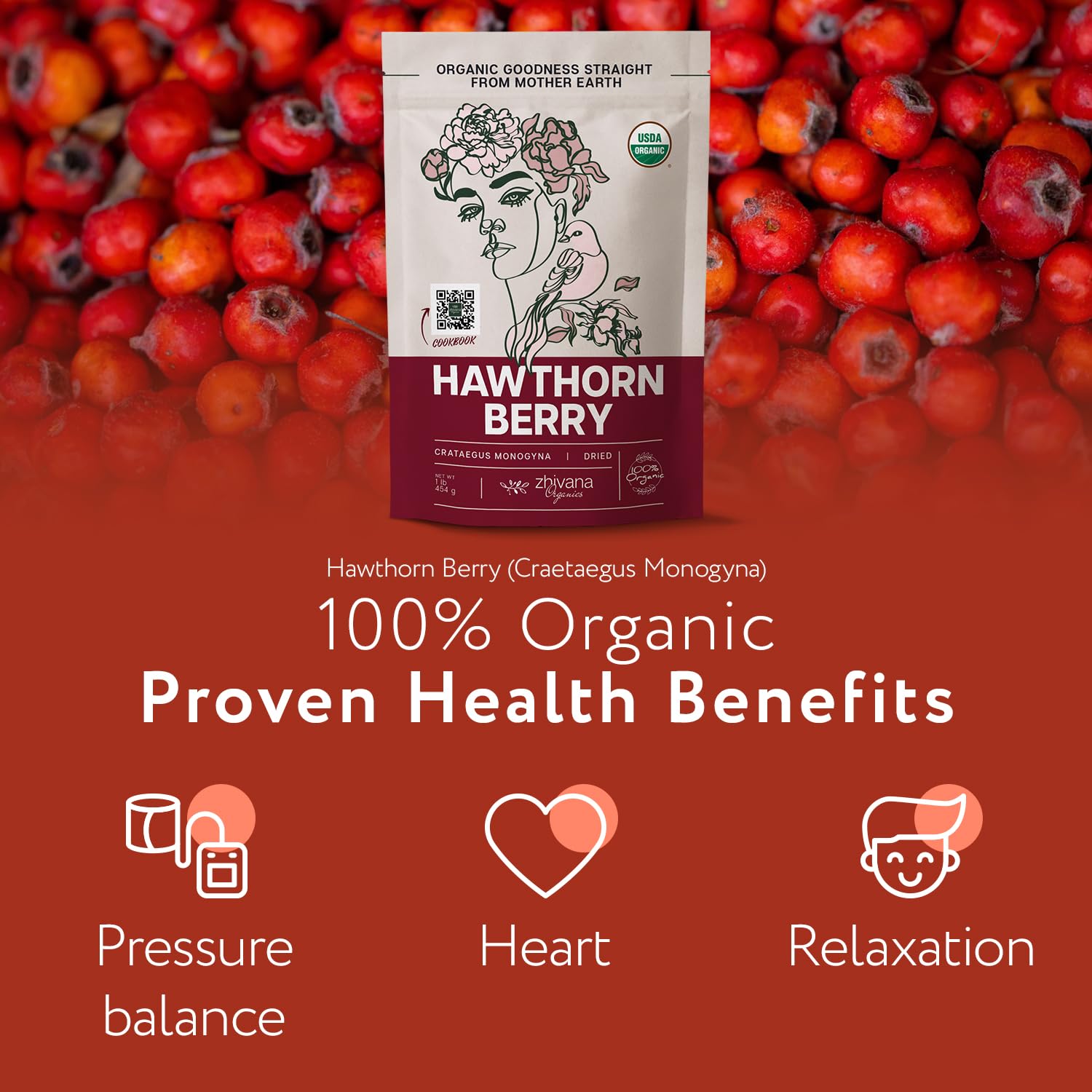 Zhivana Organics hawthorn berry 8oz bag for pantry flavor