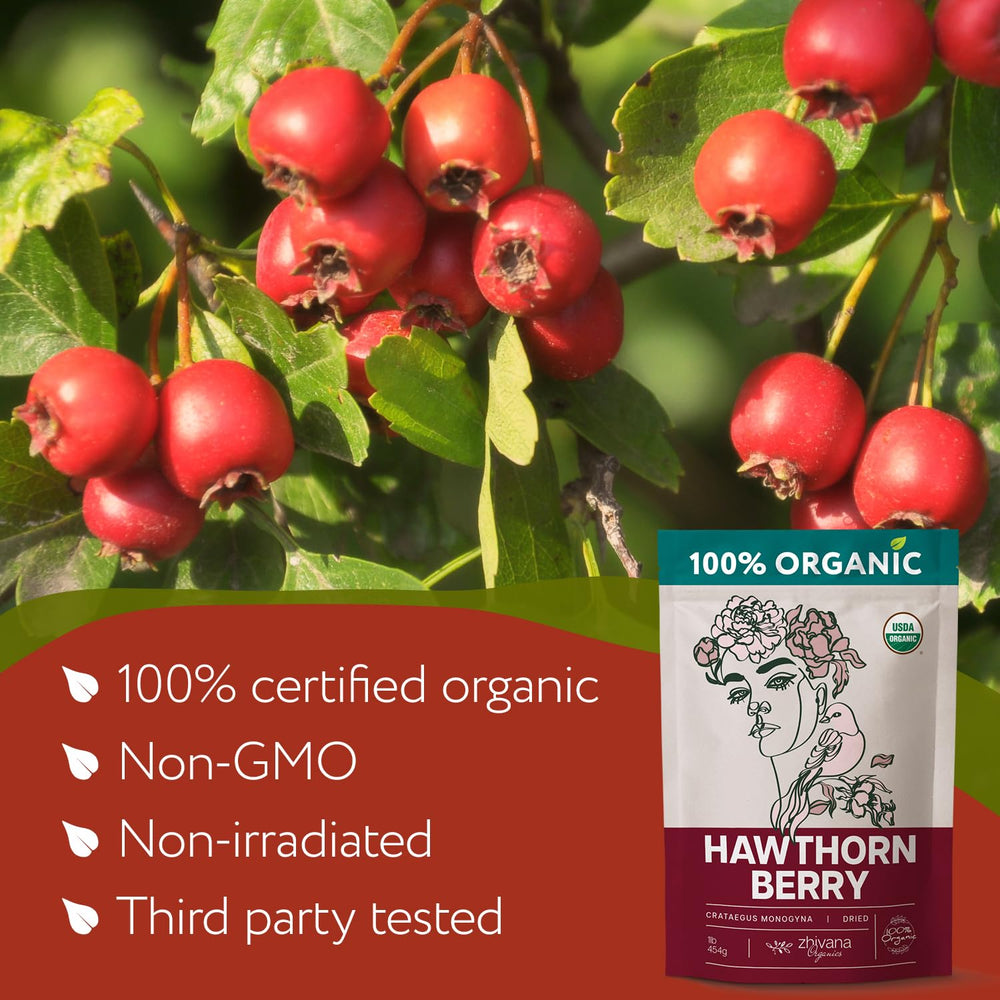 Zhivana Organics hawthorn berry close-up for culinary use