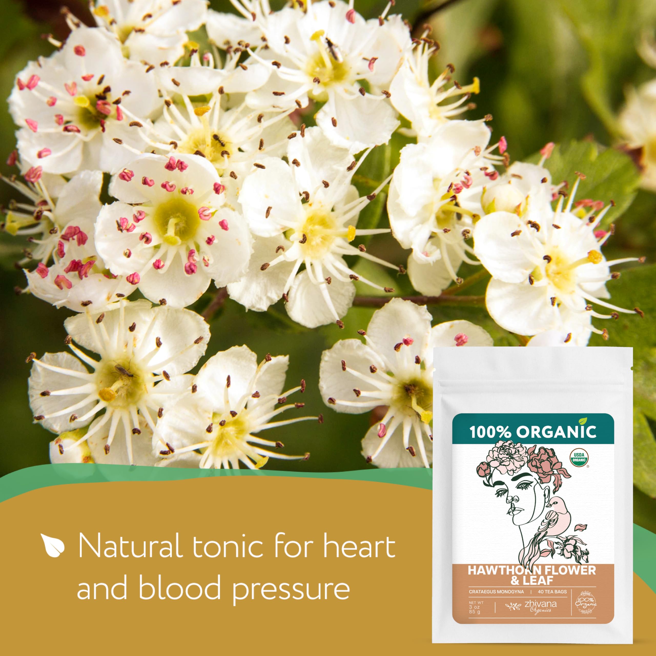 Zhivana Organics Hawthorn leaves and flowers dried, ready to infuse balance.