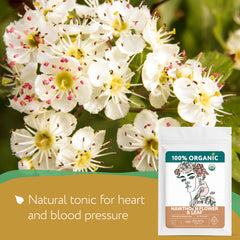 Zhivana Organics Hawthorn leaves and flowers dried, ready to infuse balance.