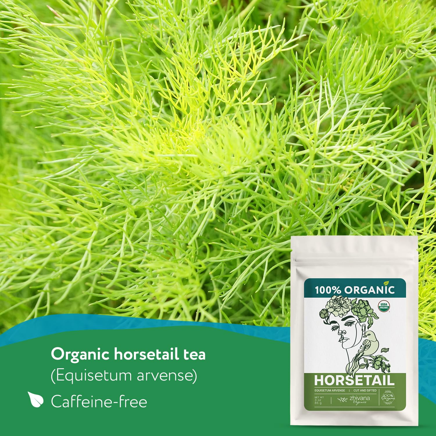 Zhivana Organics Horsetail Tea leaves close-up for vibrant infusion.