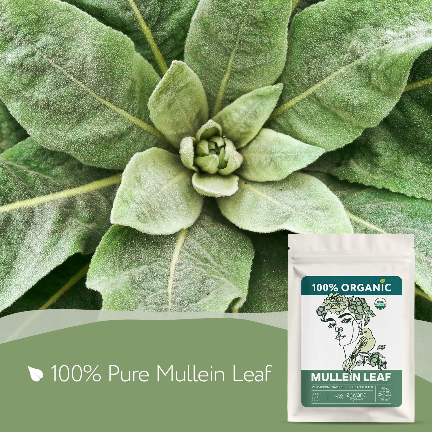 Zhivana Organics mullein tea dried leaves ready for infusion with a gentle aroma.
