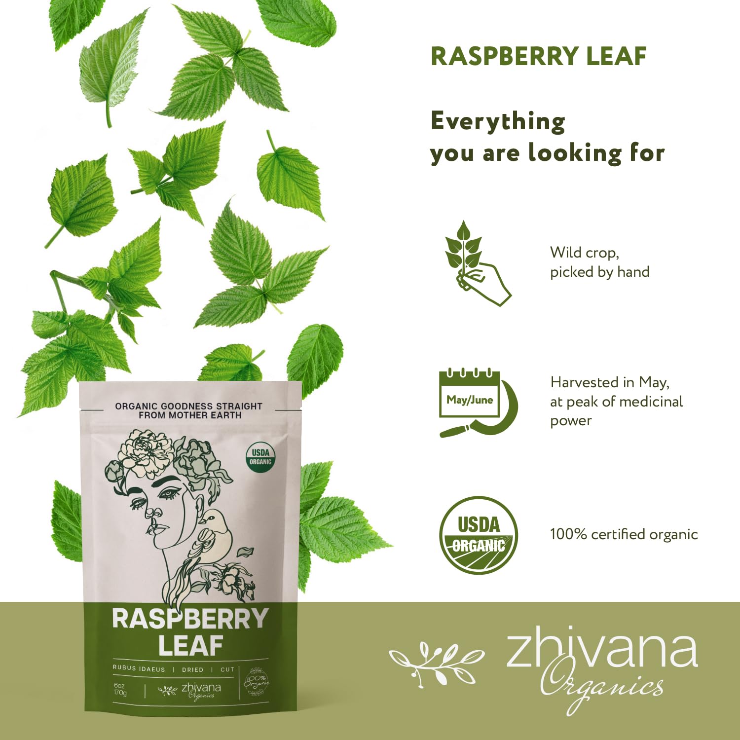 Zhivana Organics reproductive health tea scene suggesting cycle comfort