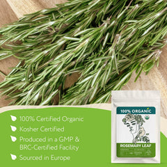 Zhivana Organics rosemary leaf dried bundle, enhances herbal blends.