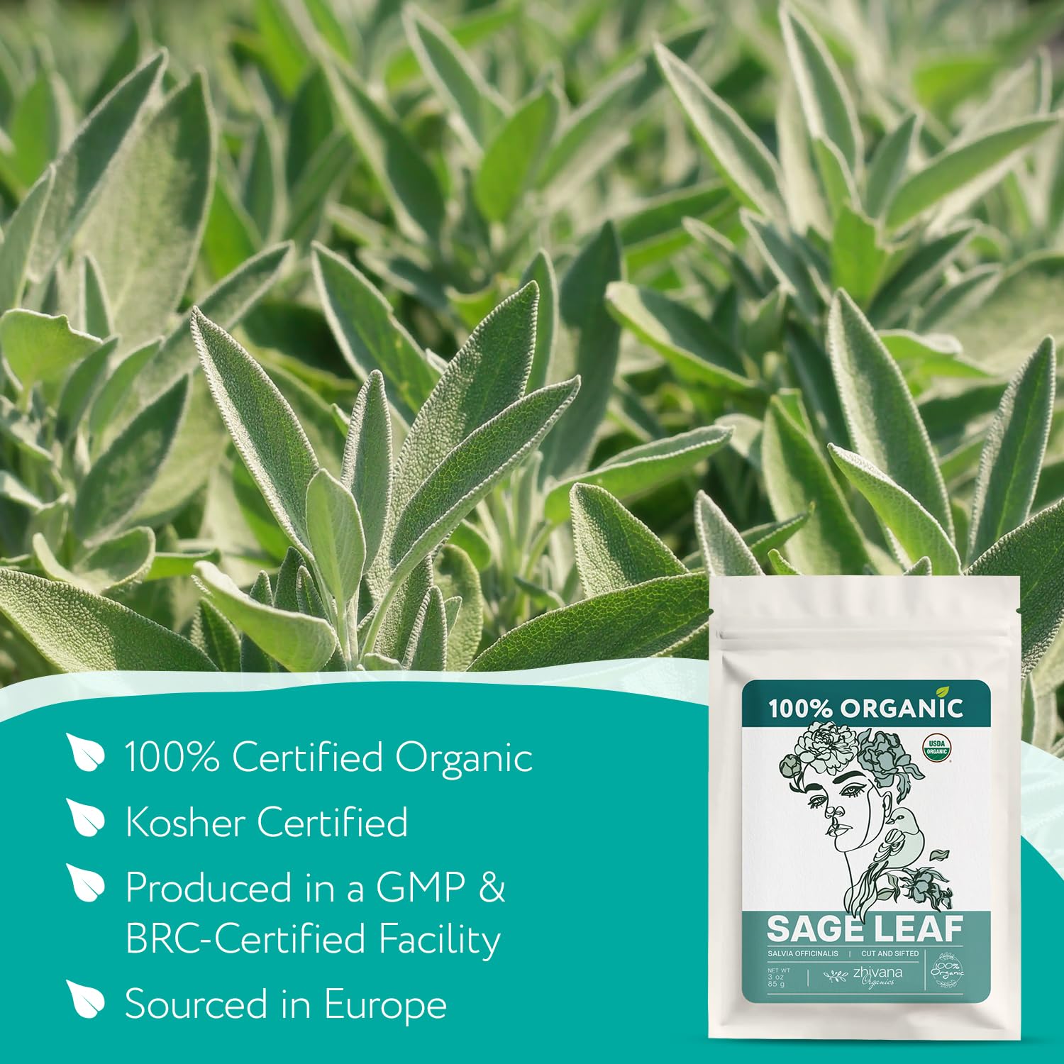 Zhivana Organics Sage Tea loose leaf closeup highlighting bold aroma.