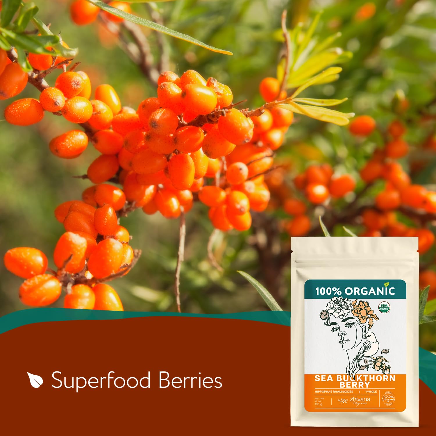 Zhivana Organics sea buckthorn berries closeup, vibrant orange color for healthy snacking.