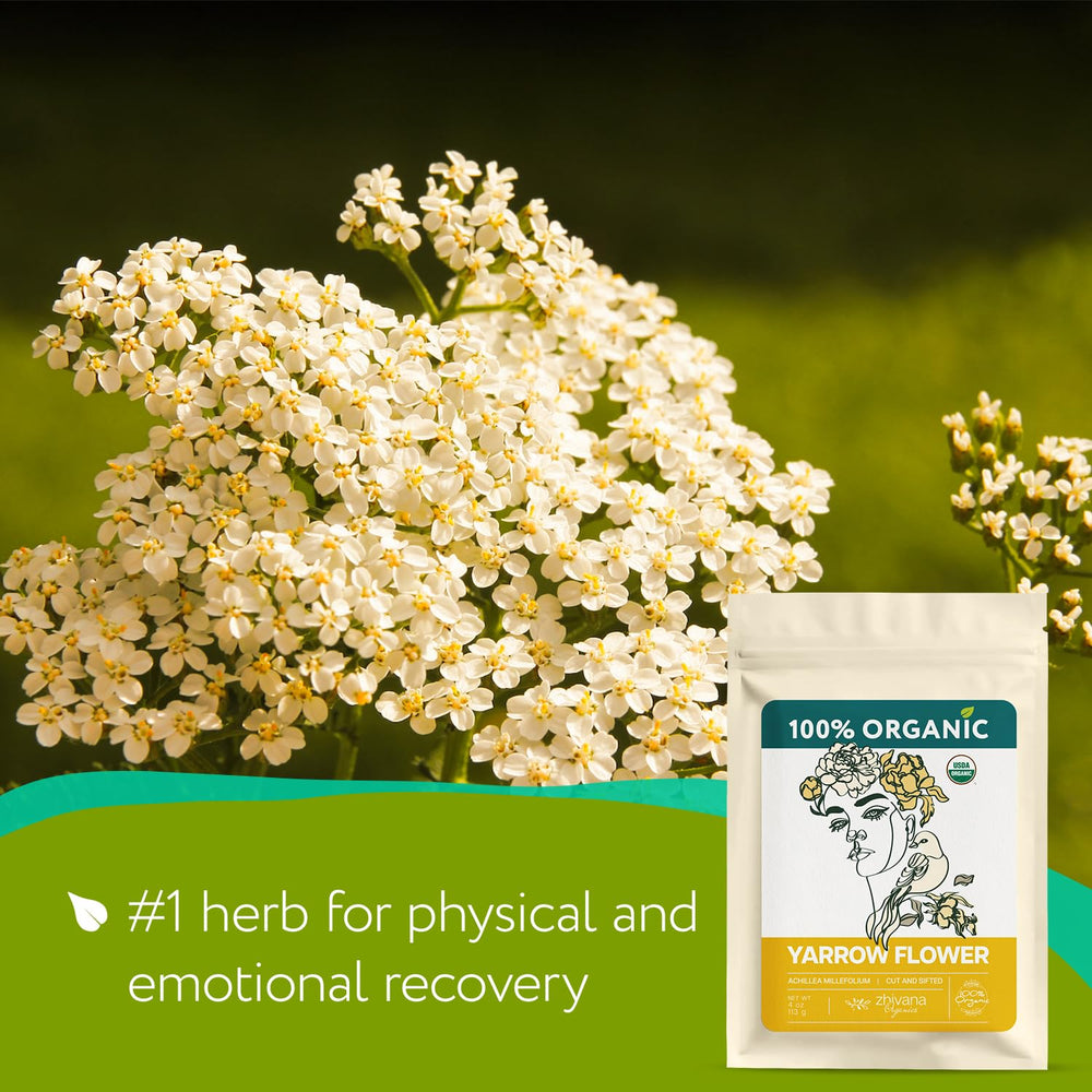 Loose-leaf Yarrow Flower Tea aroma suggesting relaxation for busy days.