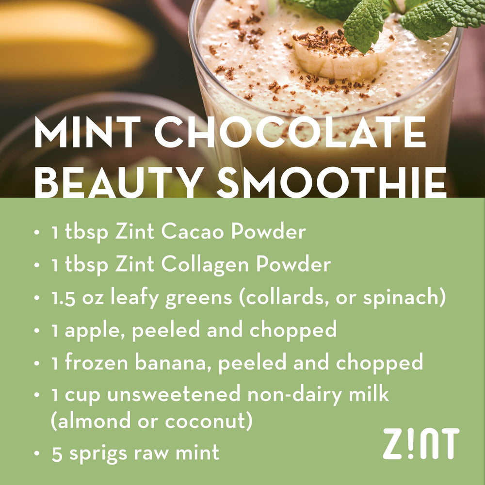 Zint cacao powder dessert plate shows rich chocolate drizzle.
