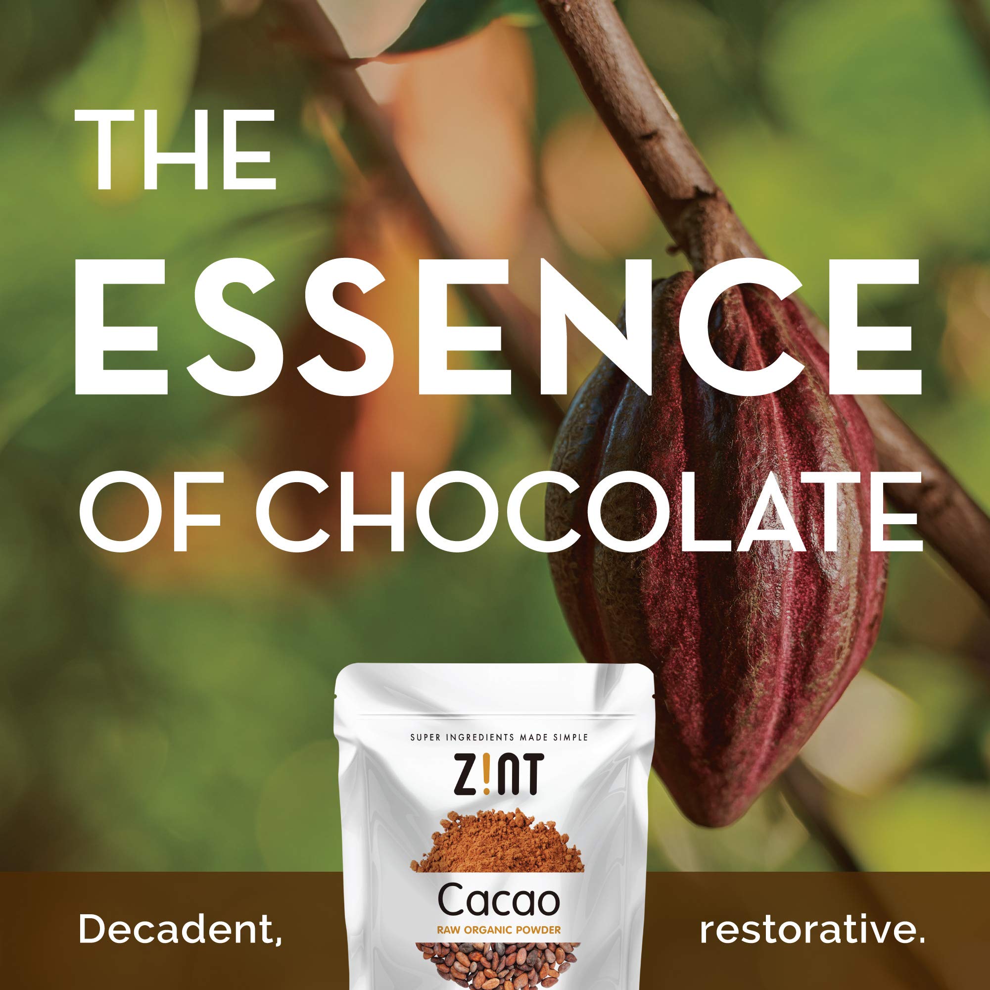 Zint cacao powder dust over smoothie bowl for a chocolatey flavor.