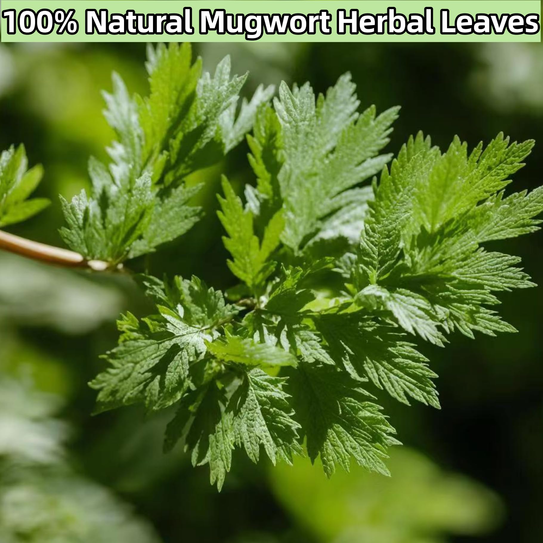 Zungtin mugwort zip bag packaging preserves freshness